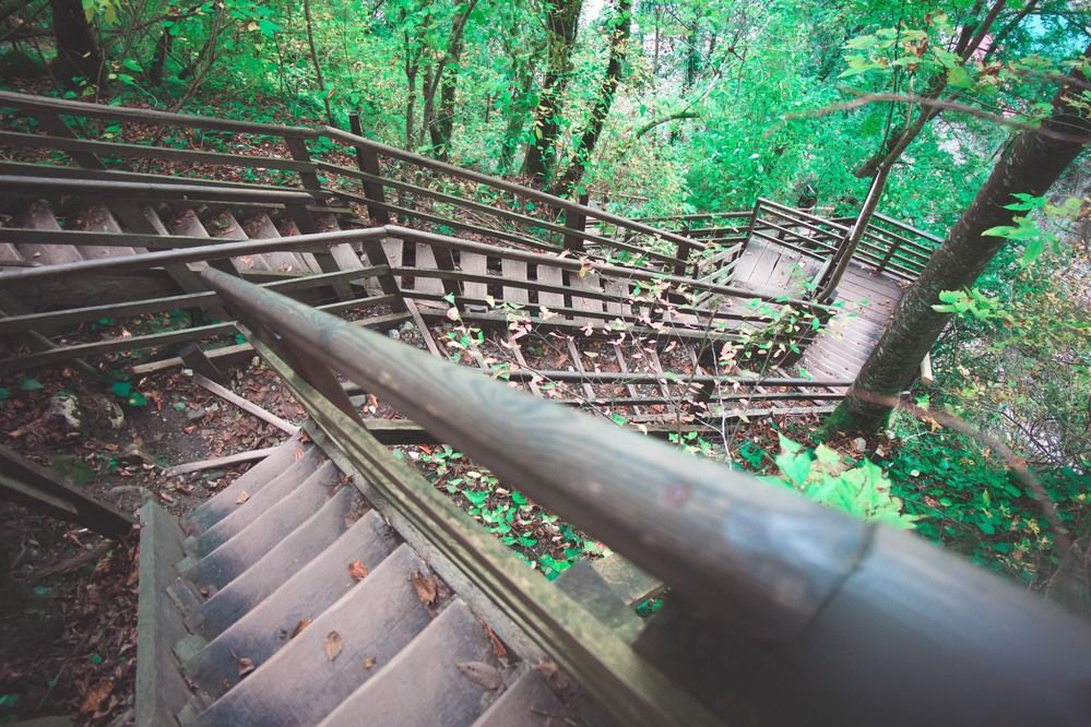 Фотография автора Анна Петина