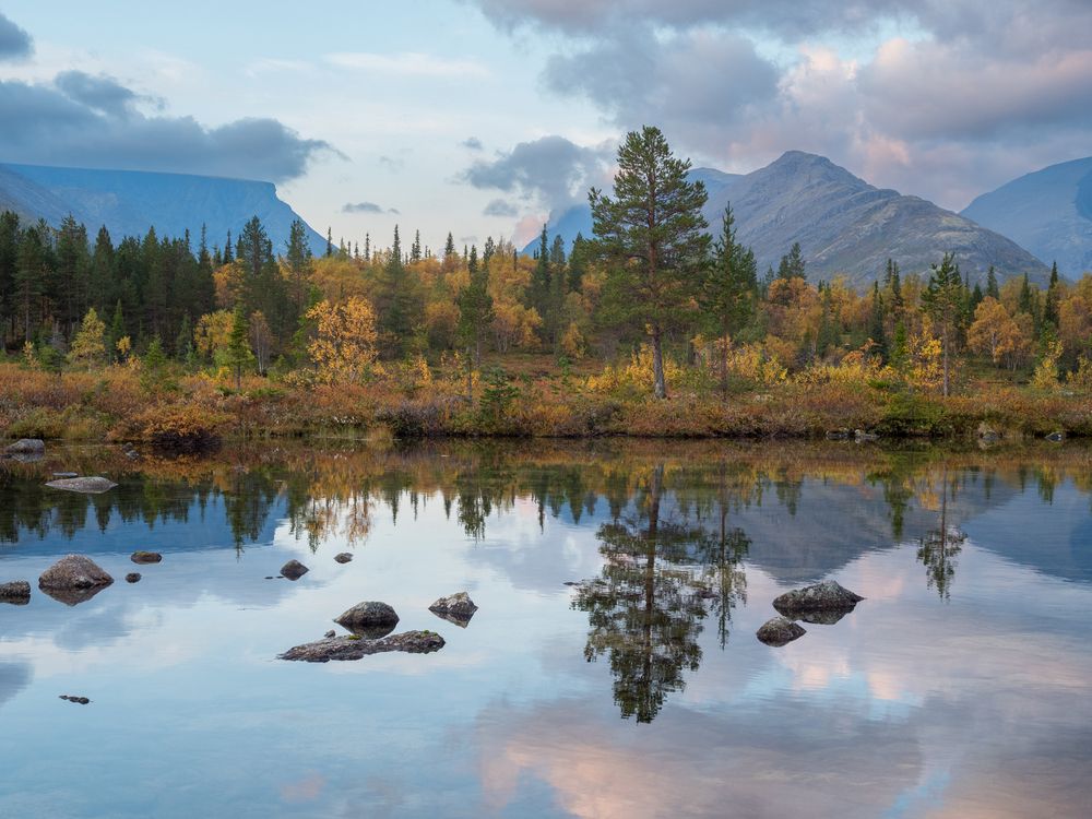 Осенняя пора