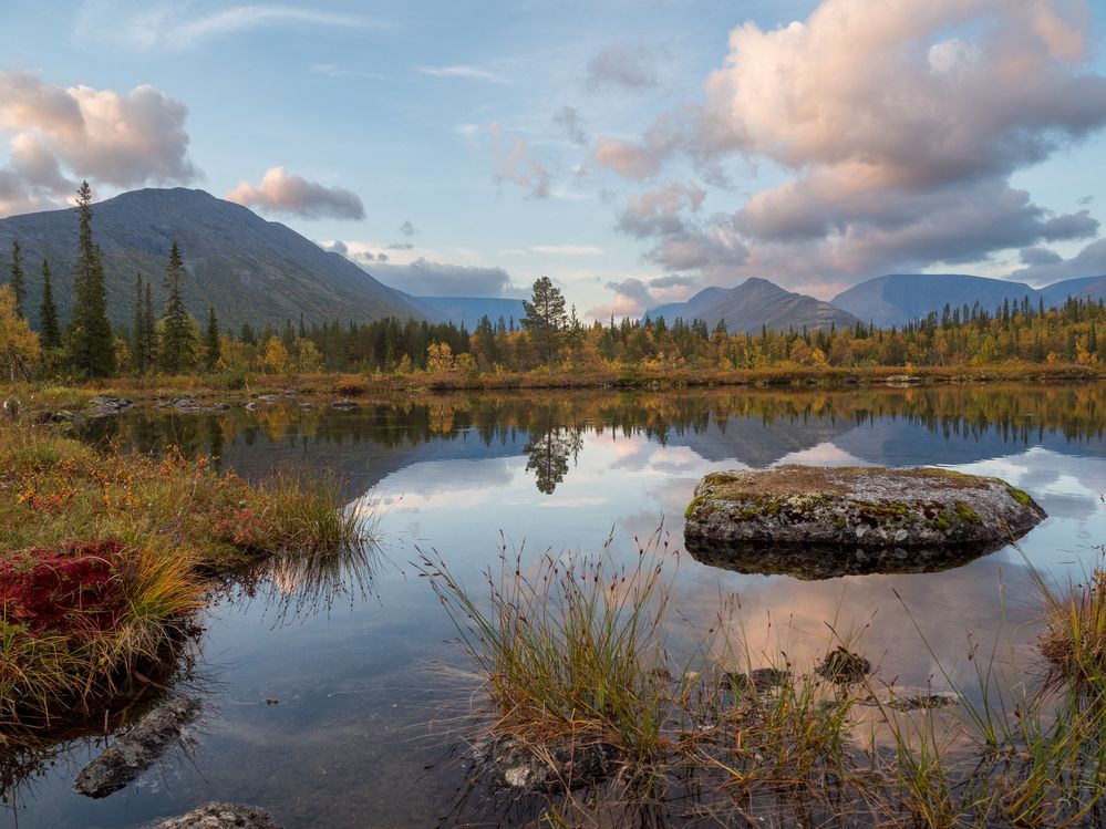 Осень в кадре