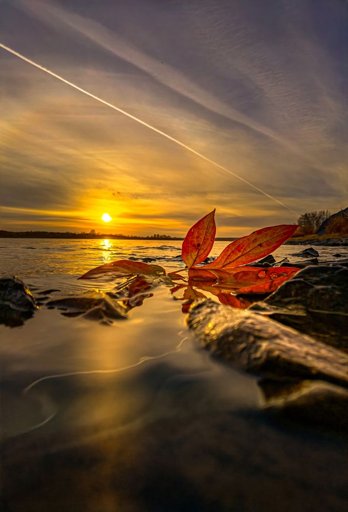 Photograph by Александр Разумов