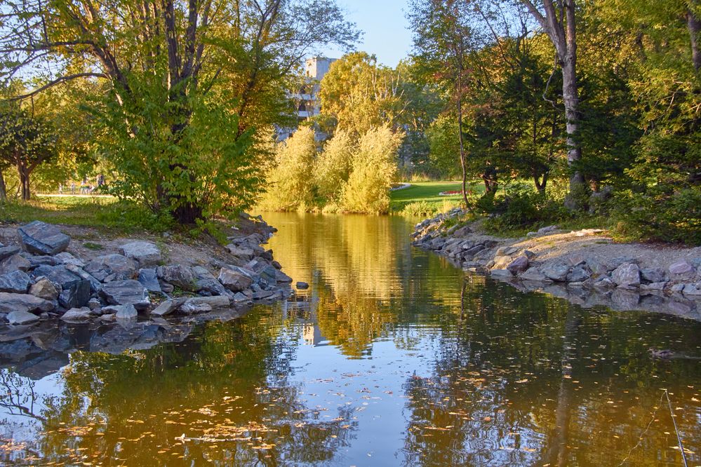 Фотография автора Наталия Мащенко