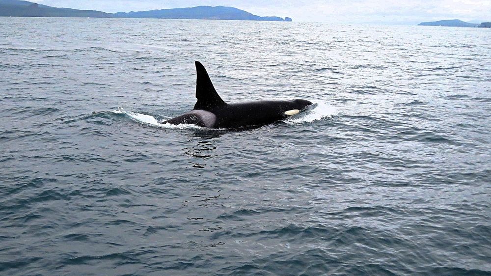 Photograph by Фартушняк Сергей