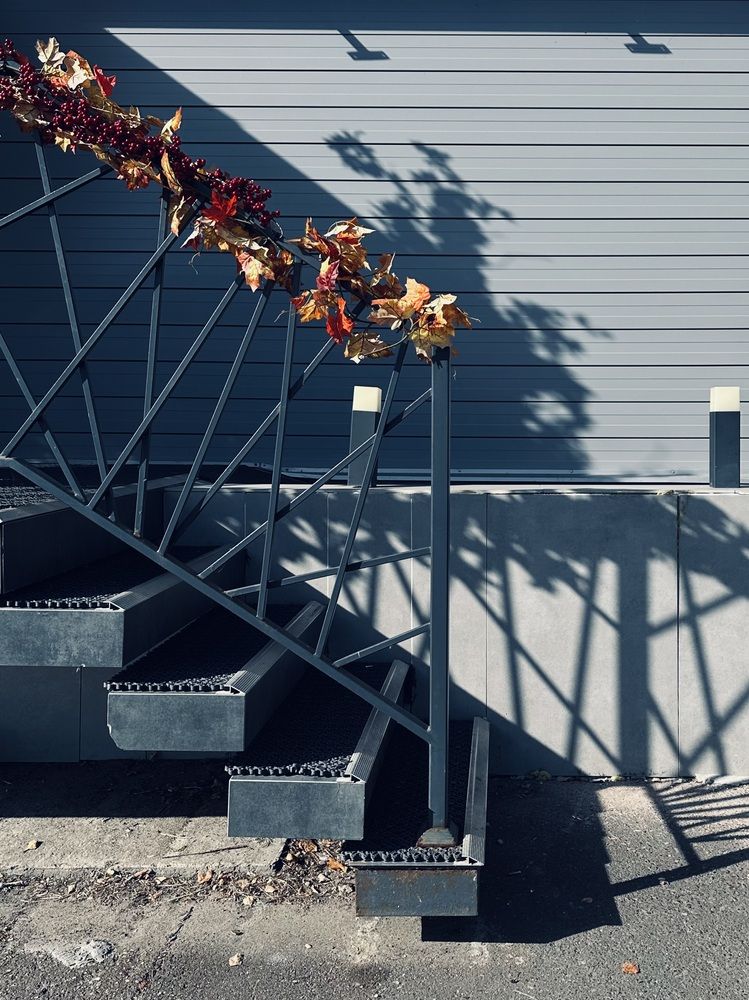 Photograph by Ксения Гулькова