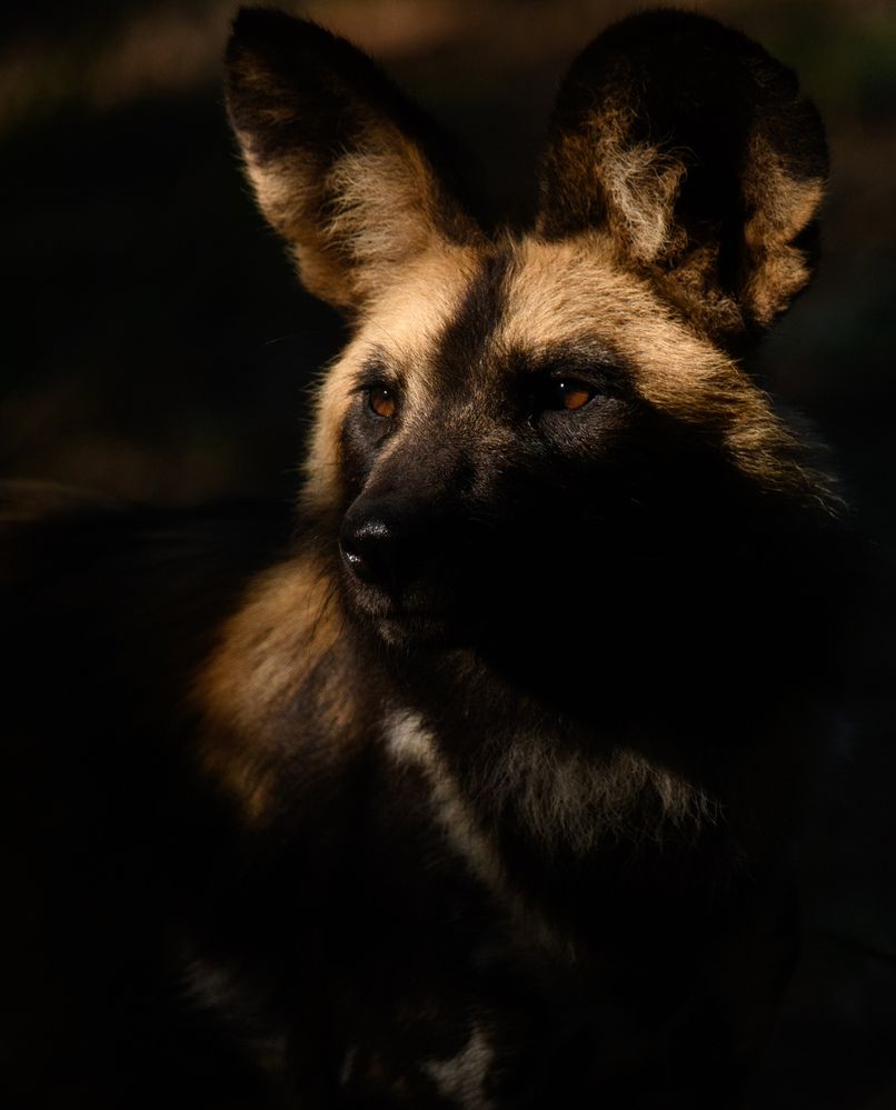 Photograph by Andrea Scheffer