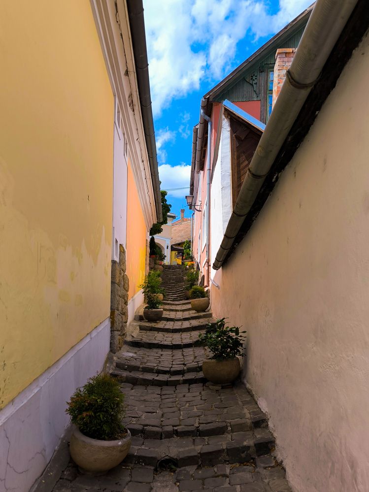 Photograph by Татьяна Яцкевич