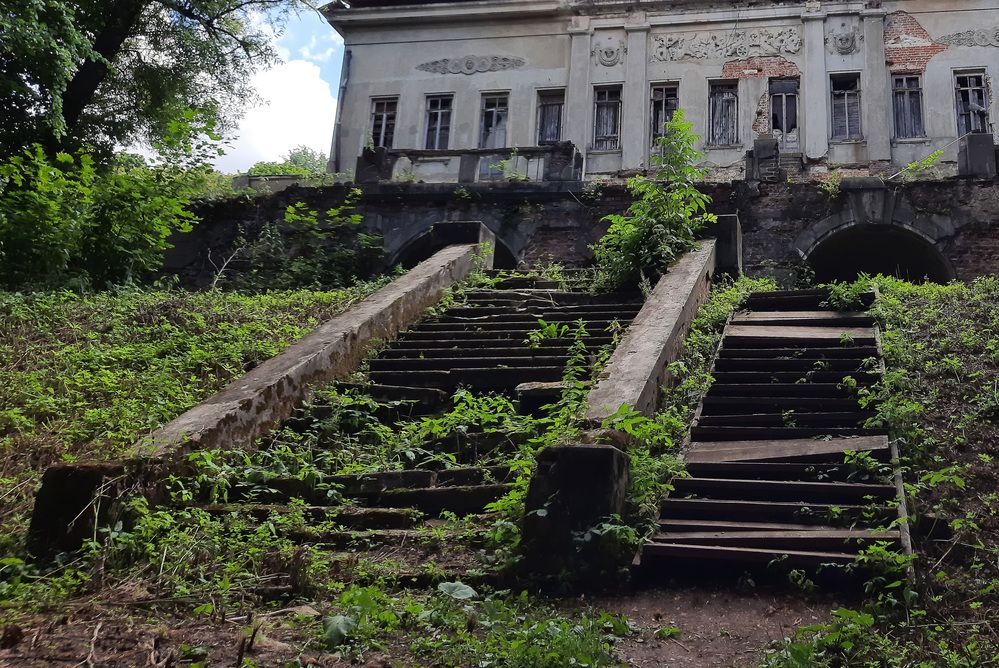 Фотография автора Анна Петина