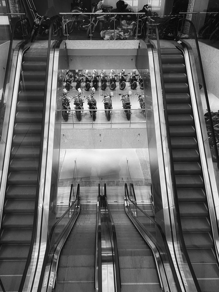 Photograph by Светлана Долганова