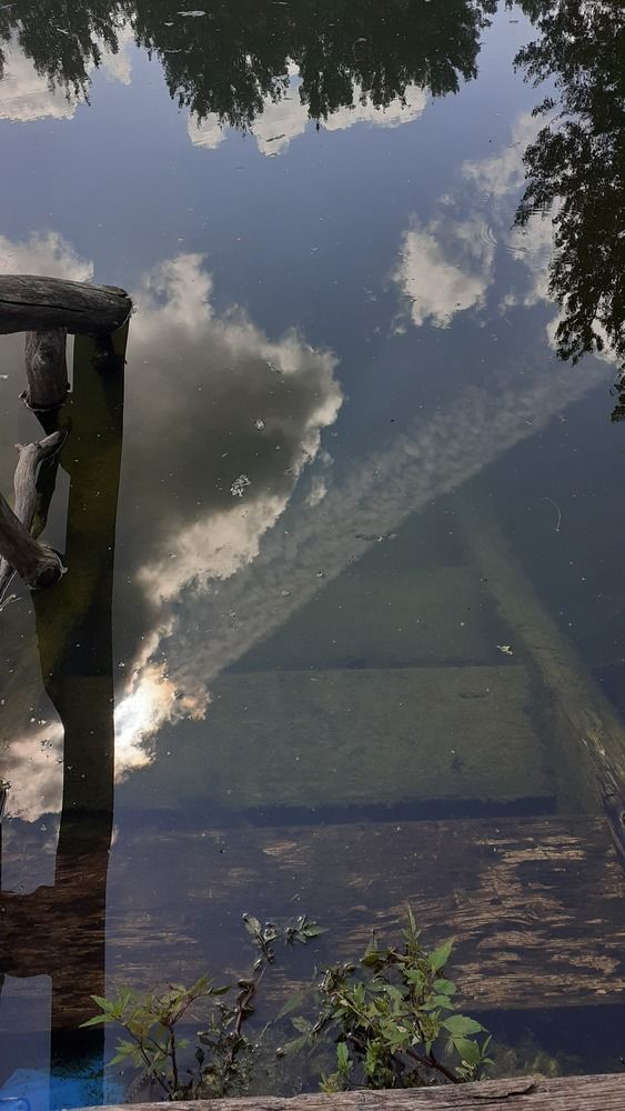 Photograph by Елена Лещева