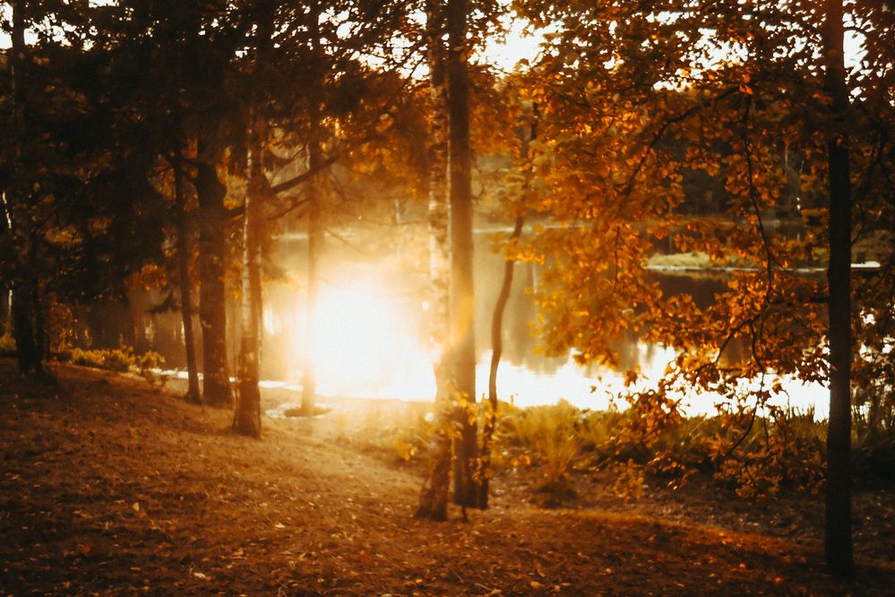 Photograph by Denis Naryshev