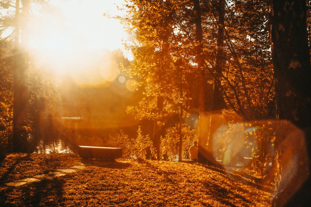 Photograph by Denis Naryshev