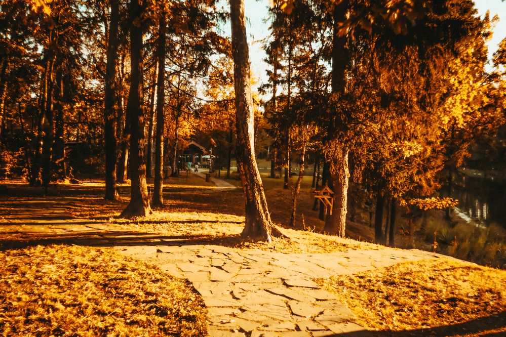 Photograph by Denis Naryshev