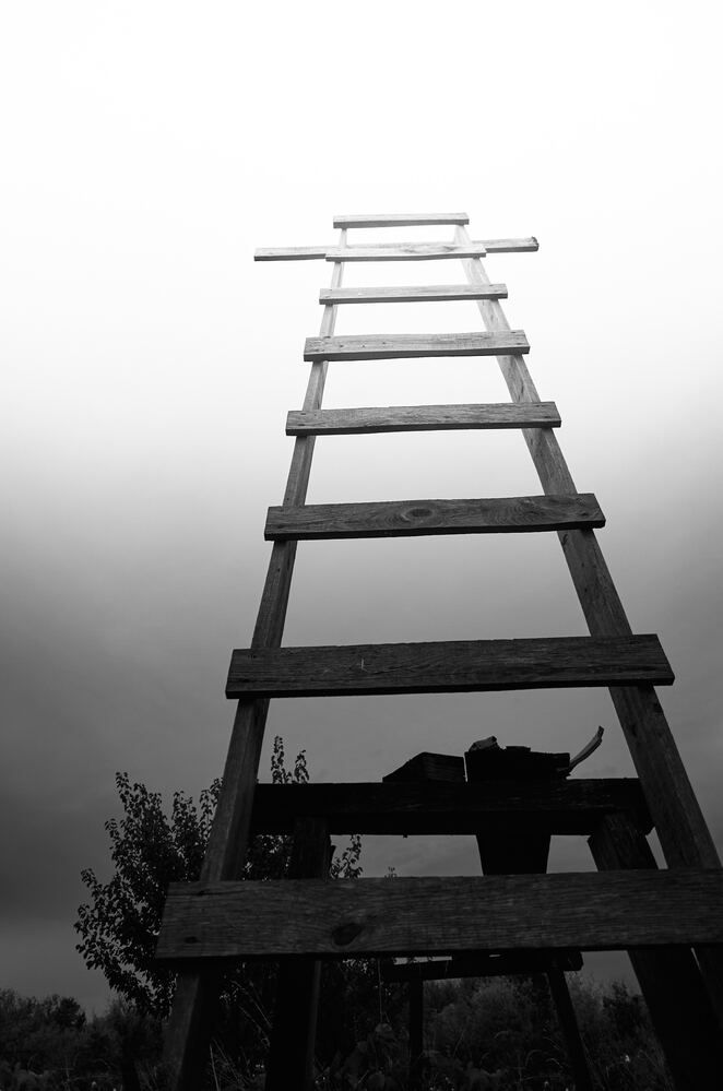 Photograph by Константин Громов