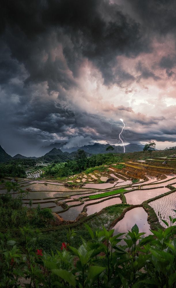 Фотография автора Dao Hoang