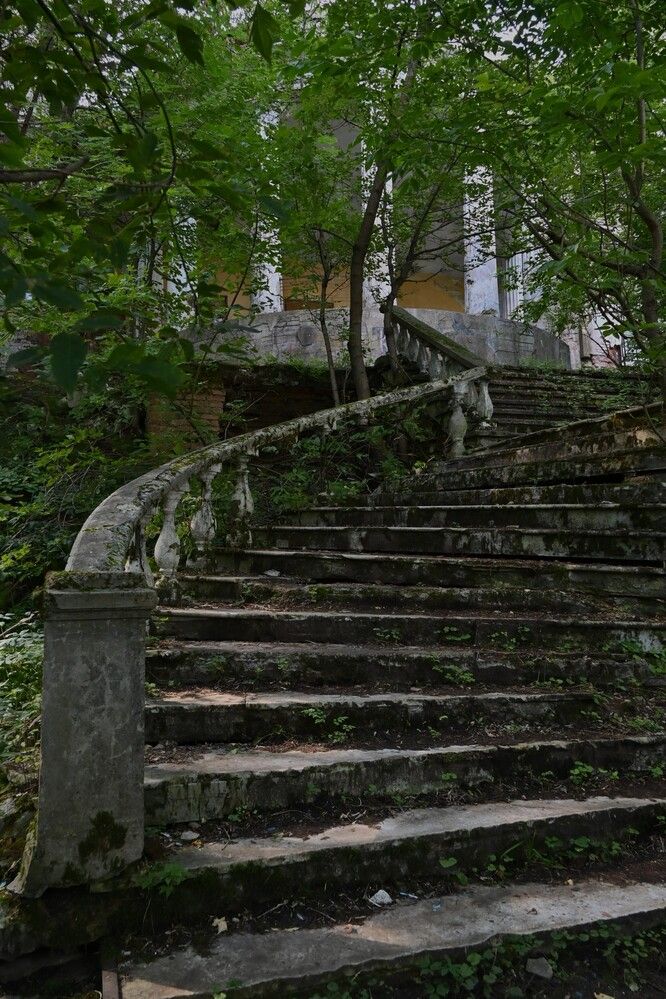 Фотография автора IRINA FILIPPOVA