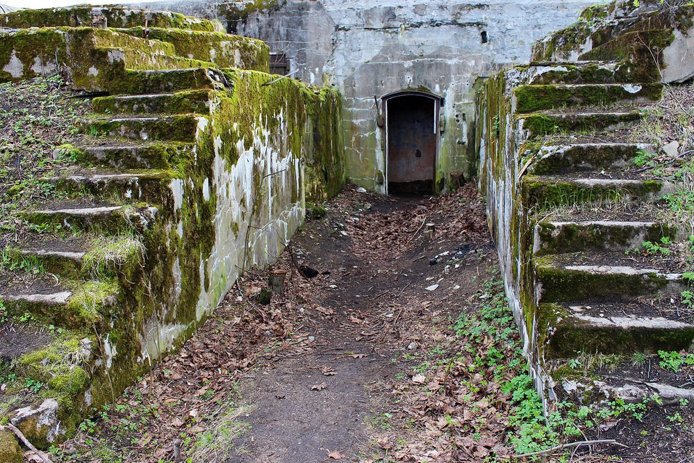 Photograph by Светлана Шубина