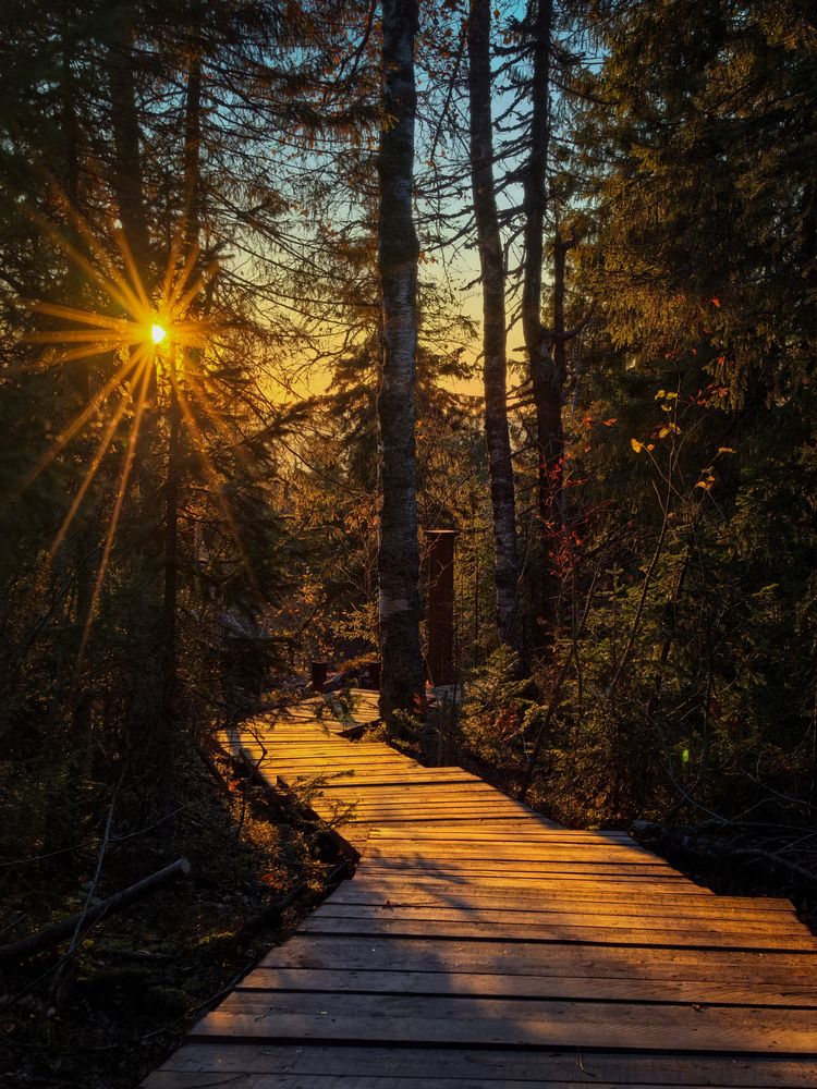 Photograph by Сергей Ведерников