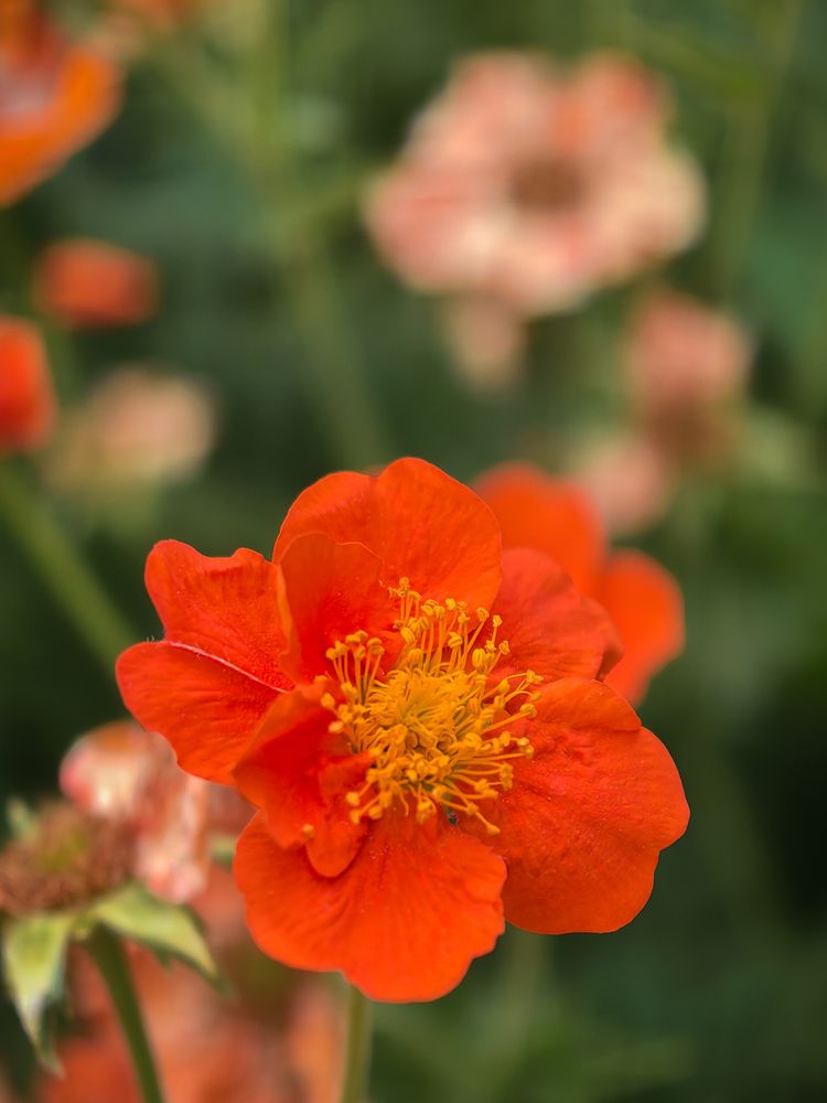 Photograph by Сергей Ведерников