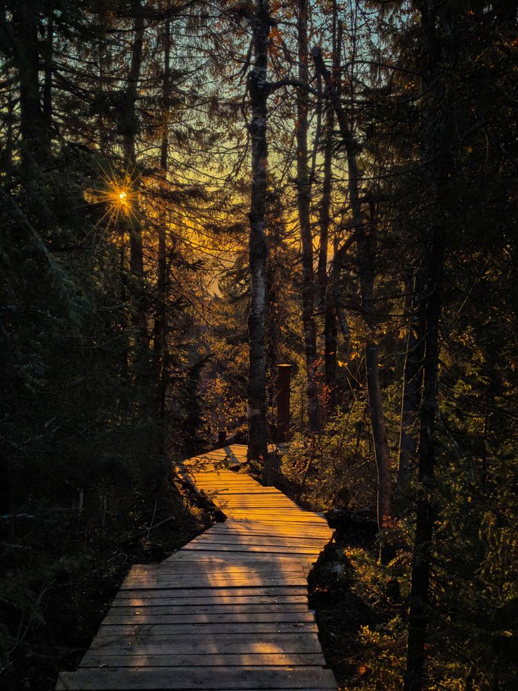 Photograph by Сергей Ведерников