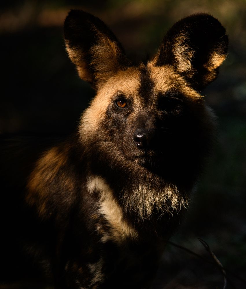 Photograph by Andrea Scheffer
