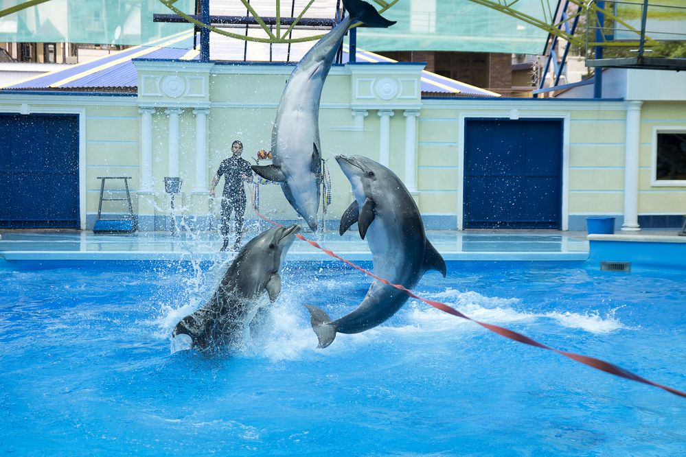 Photograph by Роман Приходько