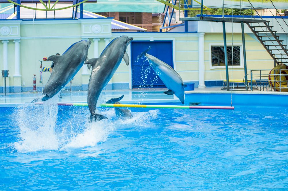 Photograph by Роман Приходько