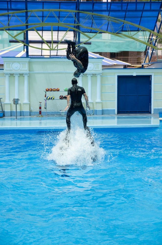 Photograph by Роман Приходько