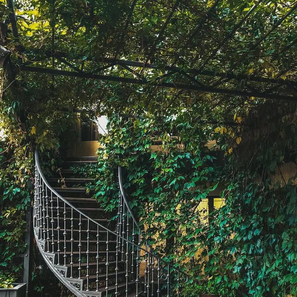 Photograph by Яна Цицилашвили