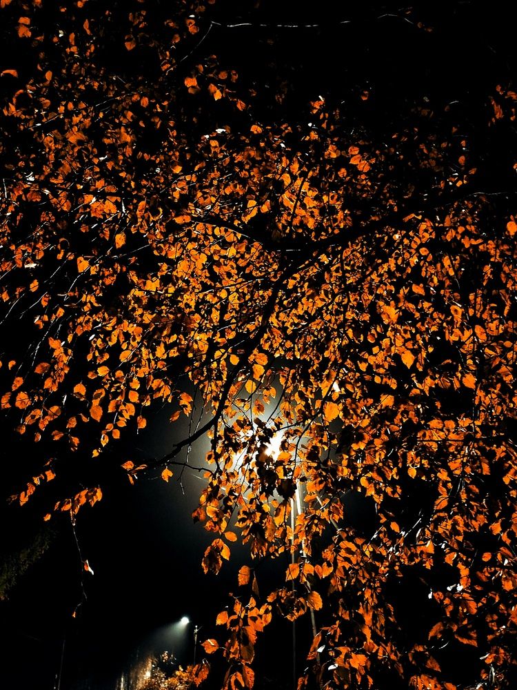 Photograph by Татьяна