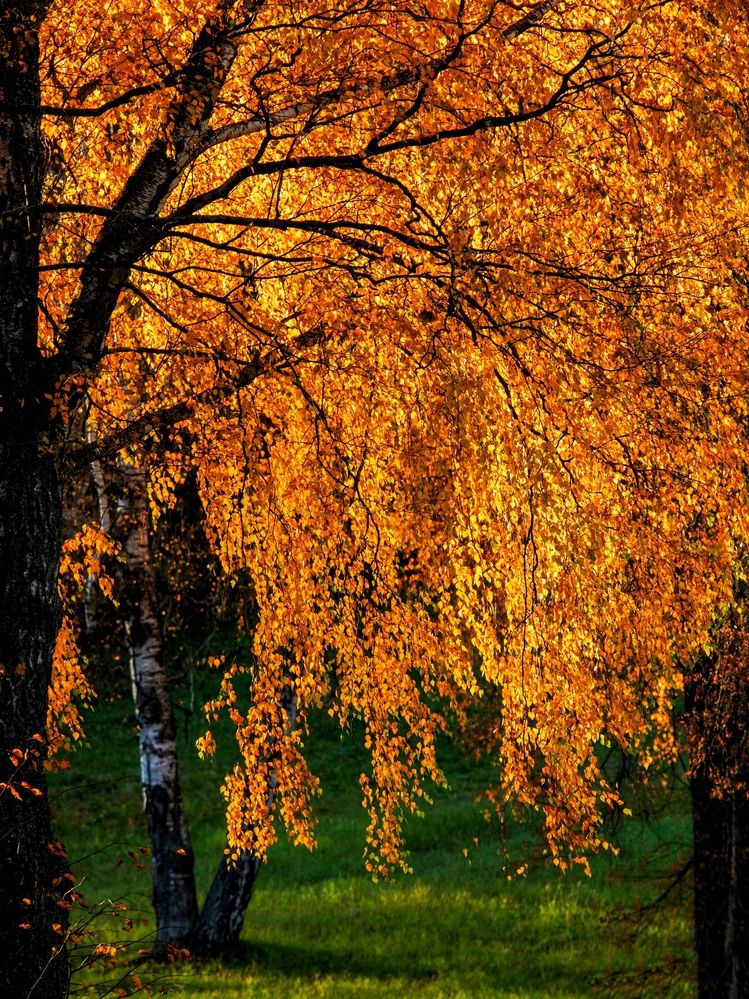 Photograph by Татьяна