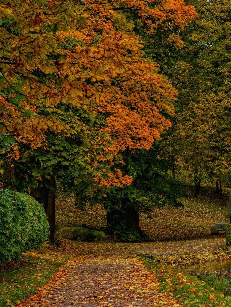 Photograph by Татьяна