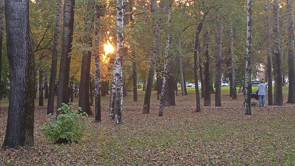 Photograph by Наталья Сорокина