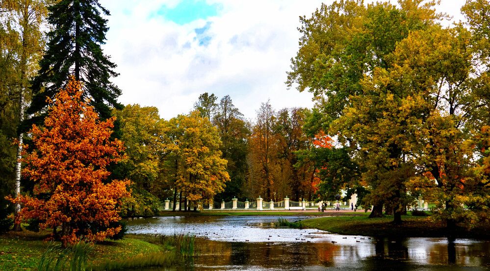 Фотография автора Дмитрий Земсков