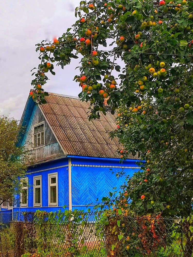 Photograph by Татьяна