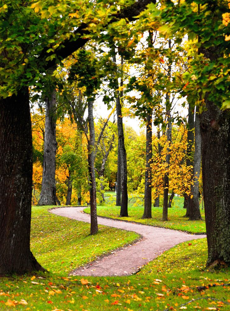 Фотография автора Дмитрий Земсков