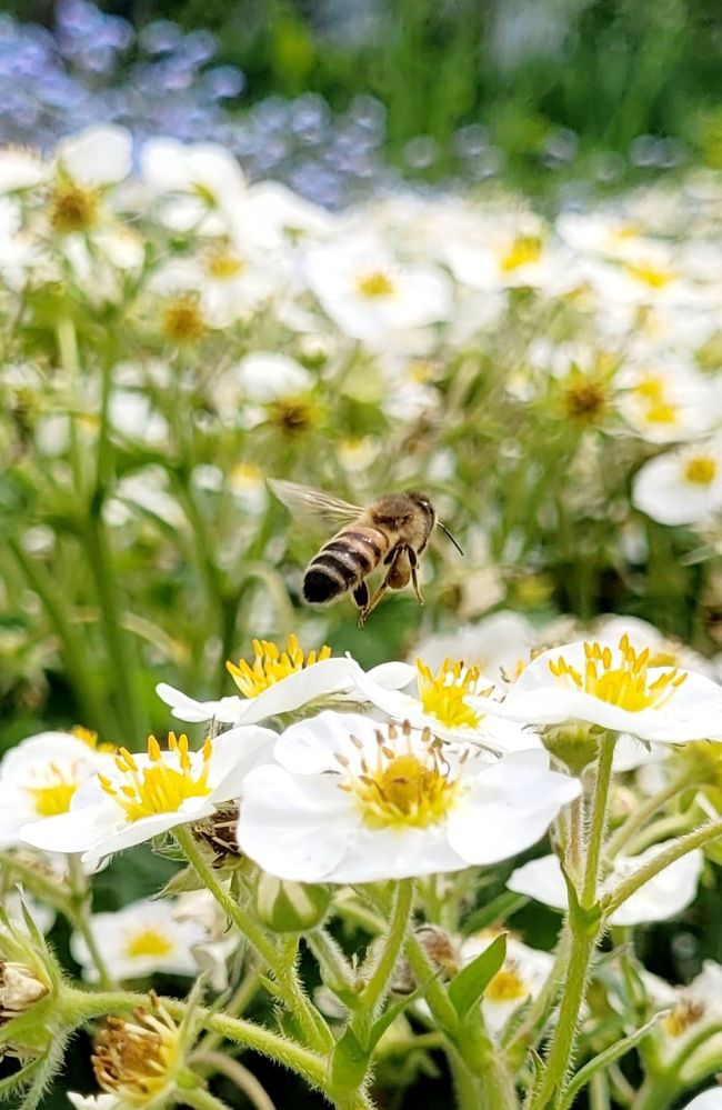 Photograph by Елена Юрьевна Прохорова