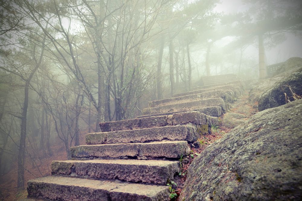 Photograph by Валентин Казанцев