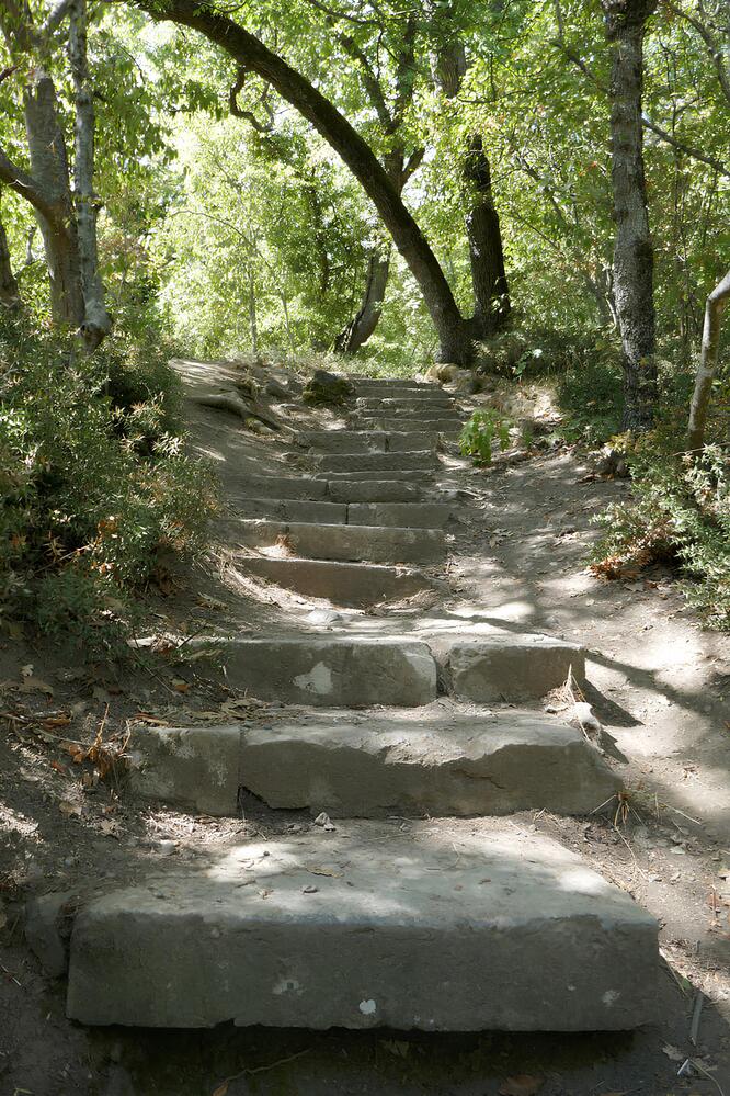 Photograph by Антон