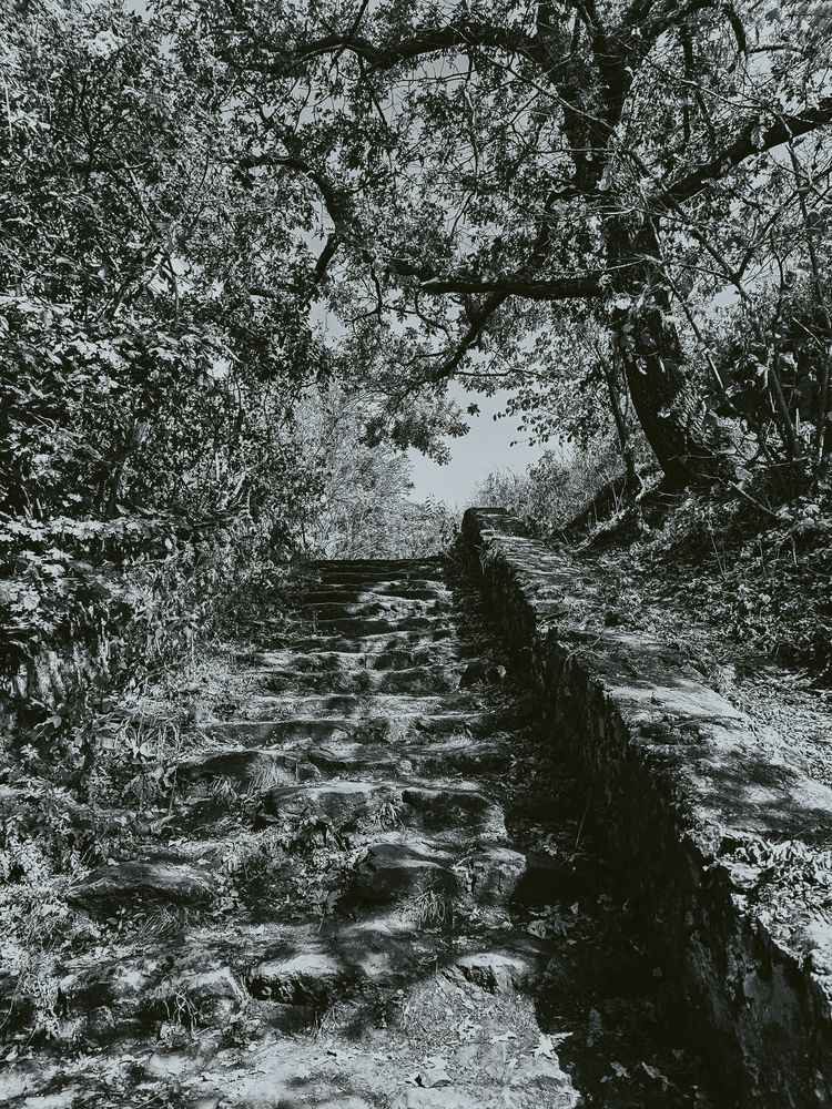 Photograph by Максим Фролов