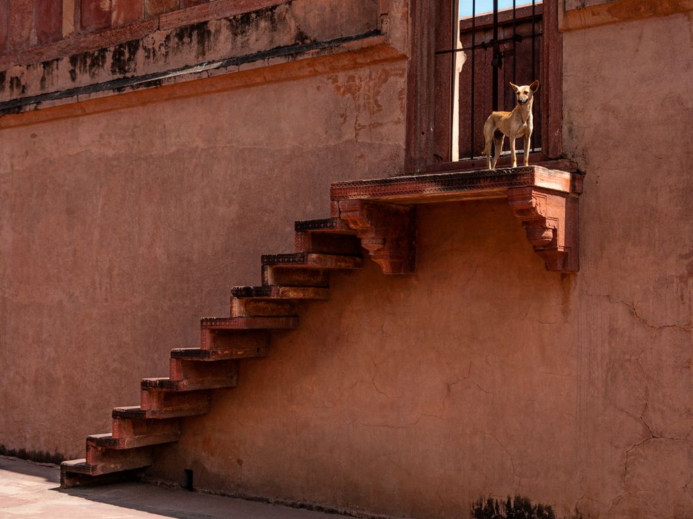 Photograph by Ольга Мусиенко