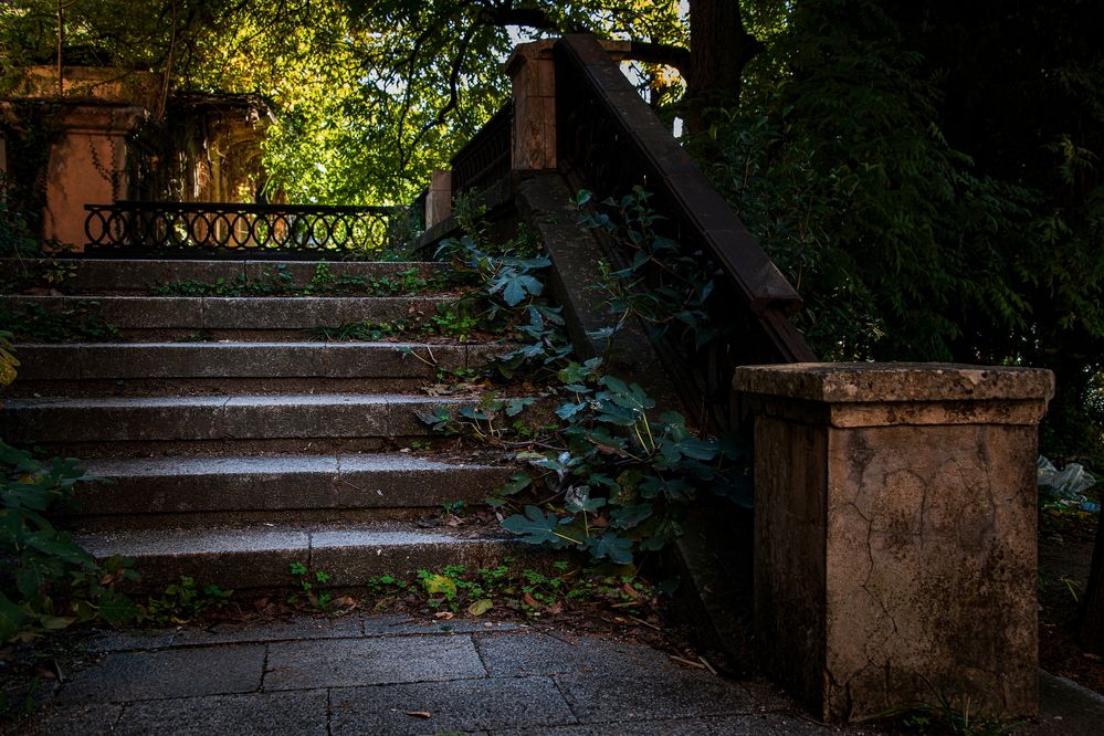 Photograph by Валентин Казанцев