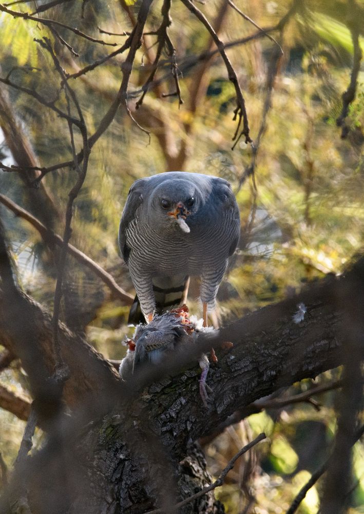 Photograph by Andrea Scheffer