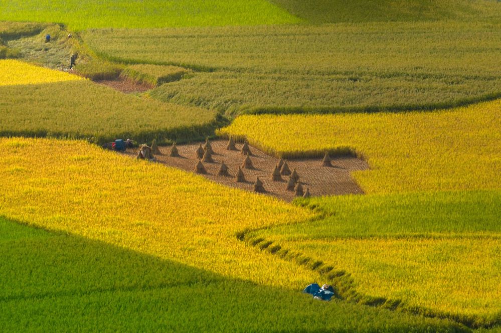 Photograph by Quang Steven