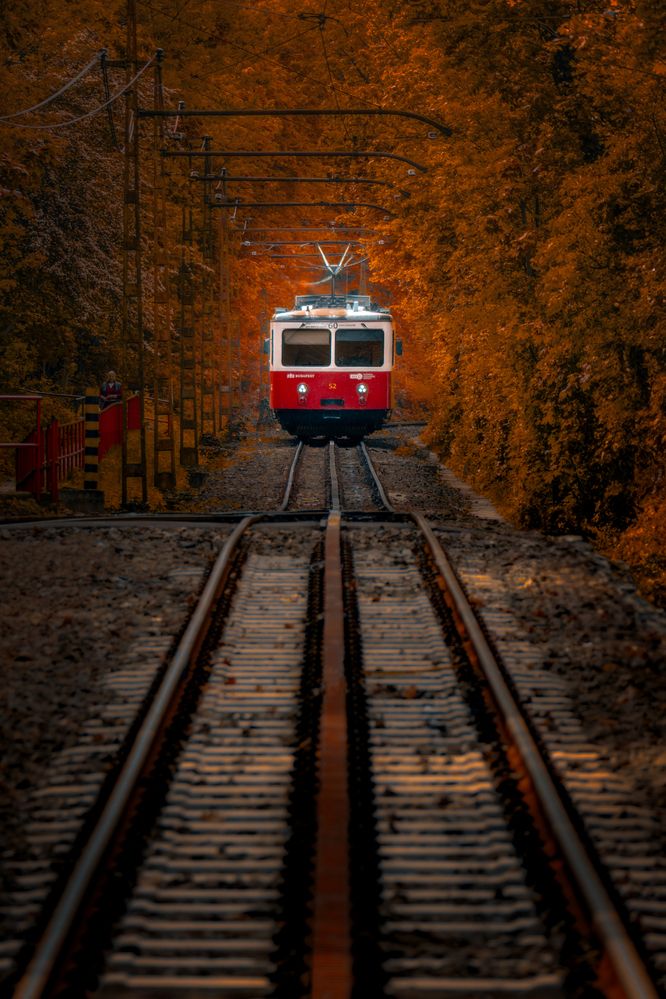 Photograph by Robert Fülöp