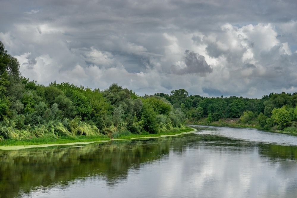 Photograph by mikhail goryachev