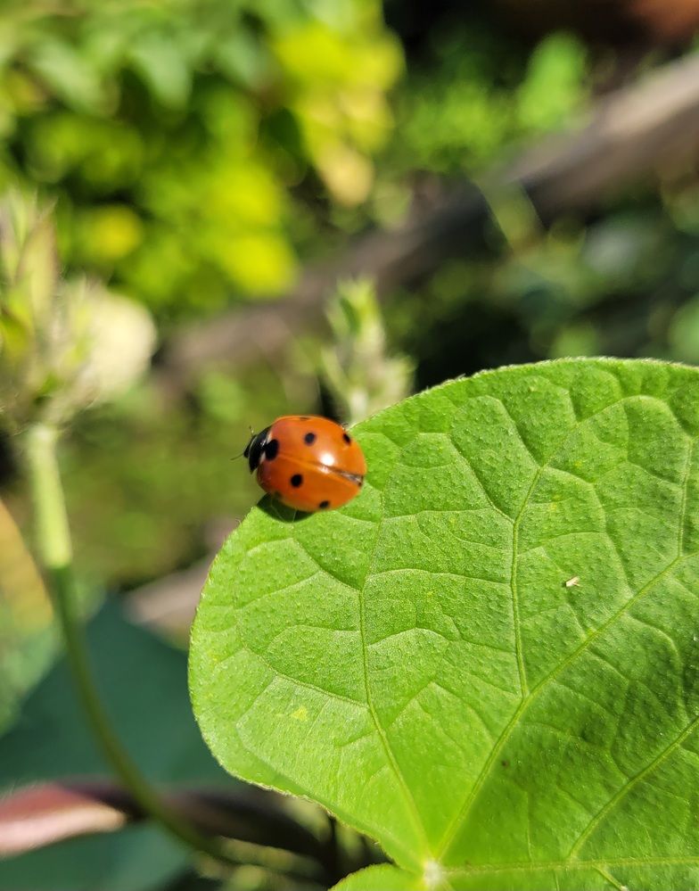 Photograph by Елена Юрьевна Прохорова