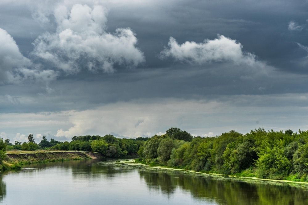 Photograph by mikhail goryachev