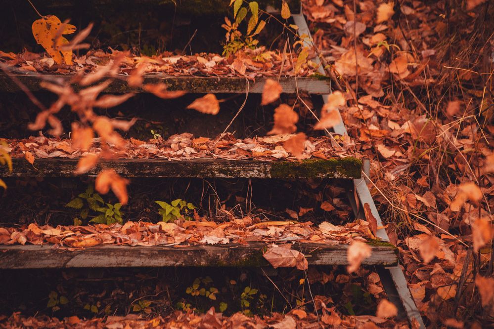 Photograph by Евгений Авдеев