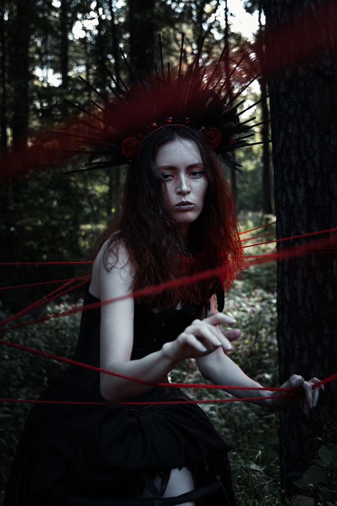 Photograph by Елена Ковальчук