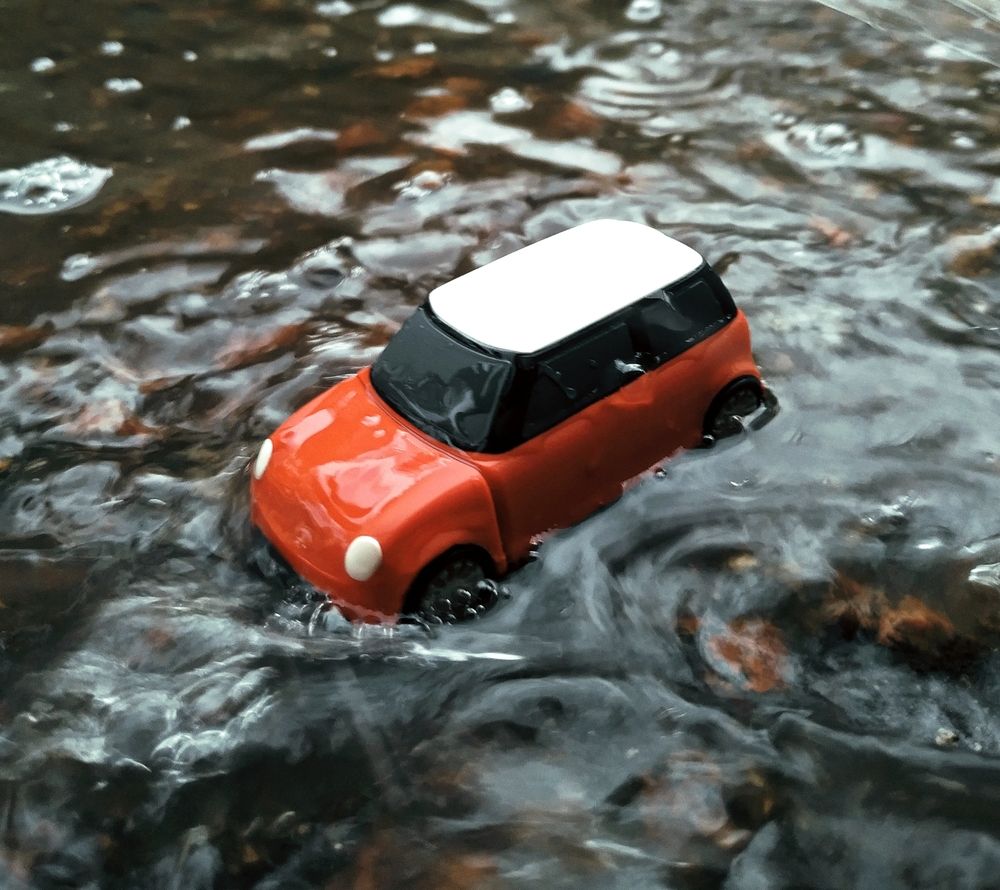 Photo #12657546