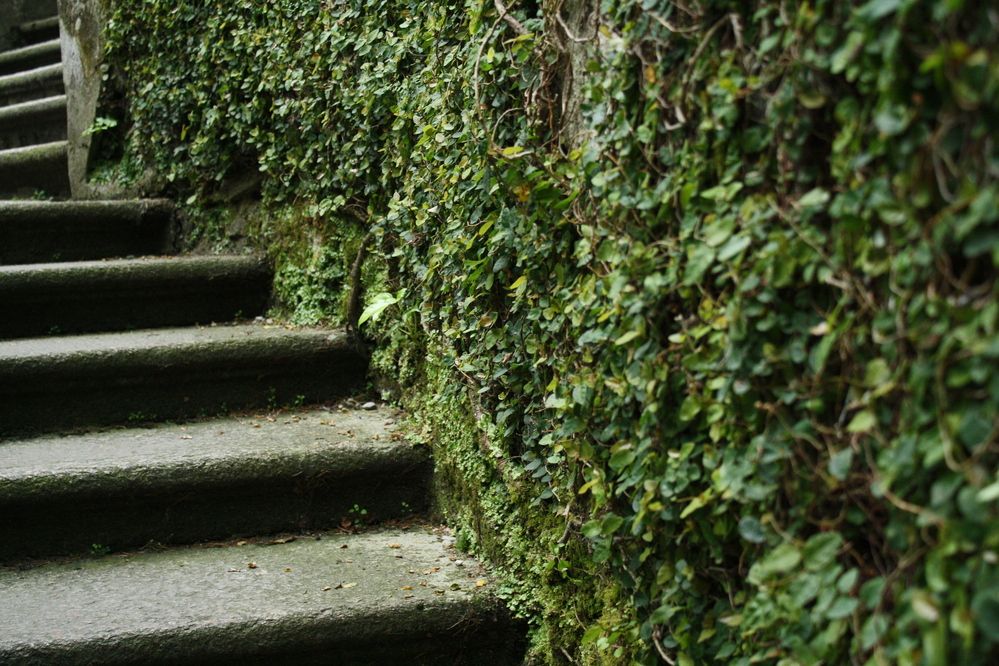 Photograph by Анастасия Свиридова